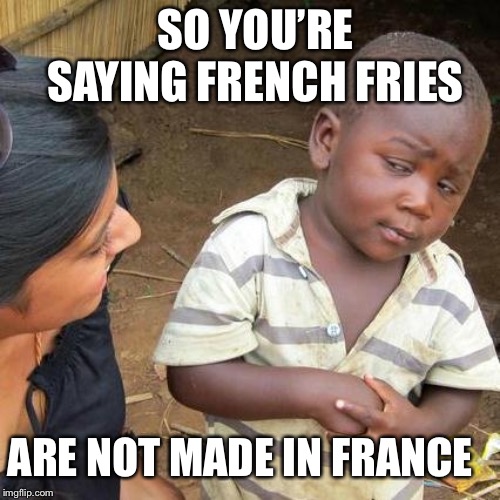 What I thought so | SO YOU’RE SAYING FRENCH FRIES; ARE NOT MADE IN FRANCE | image tagged in memes,third world skeptical kid | made w/ Imgflip meme maker