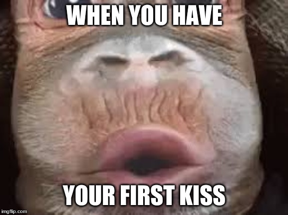 oop- | WHEN YOU HAVE; YOUR FIRST KISS | image tagged in oop- | made w/ Imgflip meme maker
