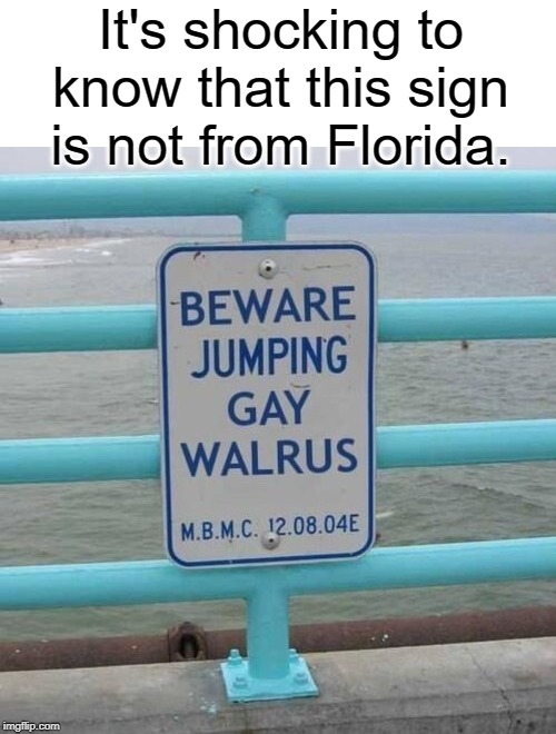 How is this not in florida? | It's shocking to know that this sign is not from Florida. | image tagged in gay,walrus,funny,memes,stupid signs,florida | made w/ Imgflip meme maker