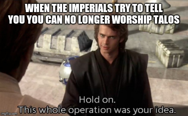 Hold on this whole operation was your idea | WHEN THE IMPERIALS TRY TO TELL YOU YOU CAN NO LONGER WORSHIP TALOS | image tagged in hold on this whole operation was your idea | made w/ Imgflip meme maker