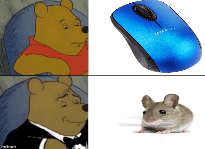 Tuxedo Winnie The Pooh | image tagged in memes,tuxedo winnie the pooh | made w/ Imgflip meme maker