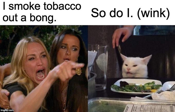 Woman Yelling At Cat Meme | I smoke tobacco 
out a bong. So do I. (wink) | image tagged in memes,woman yelling at cat | made w/ Imgflip meme maker