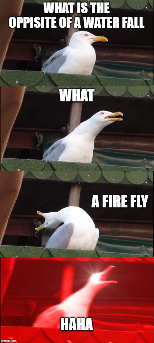 Inhaling Seagull Meme | WHAT IS THE OPPISITE OF A WATER FALL; WHAT; A FIRE FLY; HAHA | image tagged in memes,inhaling seagull | made w/ Imgflip meme maker