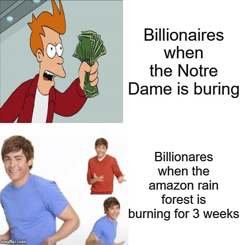 So ignorant | Billionaires when the Notre Dame is buring; Billionares when the amazon rain forest is burning for 3 weeks | image tagged in memes,drake hotline bling,ignorance,funny,amazon,notre dame | made w/ Imgflip meme maker