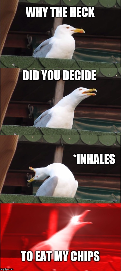 Inhaling Seagull | WHY THE HECK; DID YOU DECIDE; *INHALES; TO EAT MY CHIPS | image tagged in memes,inhaling seagull | made w/ Imgflip meme maker