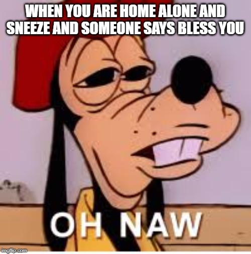 oh nawwww | WHEN YOU ARE HOME ALONE AND SNEEZE AND SOMEONE SAYS BLESS YOU | image tagged in goofy,lol,relatable,true,disney,funny | made w/ Imgflip meme maker