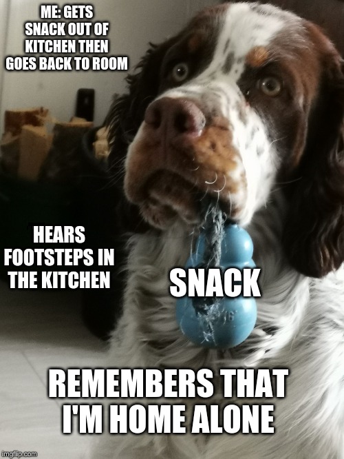 ME: GETS SNACK OUT OF KITCHEN THEN GOES BACK TO ROOM HEARS FOOTSTEPS IN THE KITCHEN SNACK REMEMBERS THAT I'M HOME ALONE | image tagged in what was thatdog | made w/ Imgflip meme maker