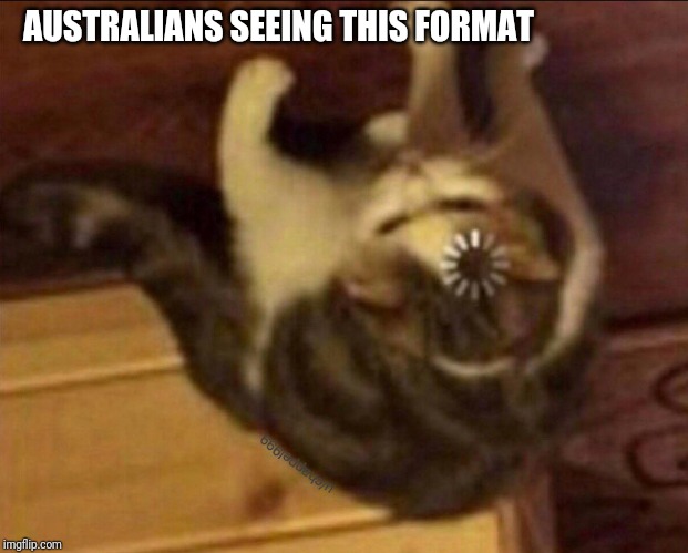 A2001 | AUSTRALIANS SEEING THIS FORMAT | image tagged in confused cat | made w/ Imgflip meme maker