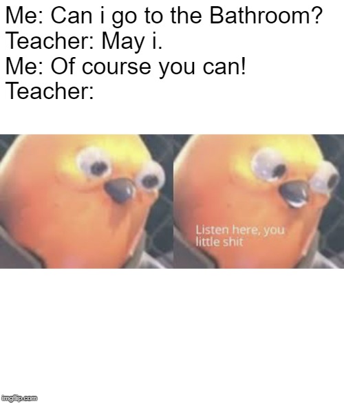 Listen here you little shit bird | Me: Can i go to the Bathroom?
Teacher: May i.
Me: Of course you can!
Teacher: | image tagged in listen here you little shit bird | made w/ Imgflip meme maker