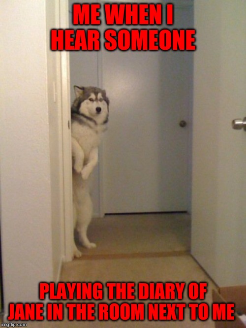 Scared standing dog | ME WHEN I HEAR SOMEONE; PLAYING THE DIARY OF JANE IN THE ROOM NEXT TO ME | image tagged in scared standing dog | made w/ Imgflip meme maker