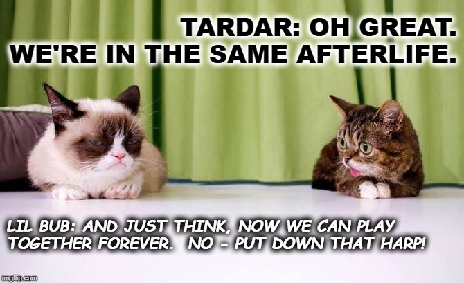 GRUMPY AND LIL BUB | TARDAR: OH GREAT. WE'RE IN THE SAME AFTERLIFE. LIL BUB: AND JUST THINK, NOW WE CAN PLAY TOGETHER FOREVER.  NO - PUT DOWN THAT HARP! | image tagged in grumpy and lil bub | made w/ Imgflip meme maker