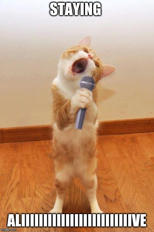 singingcat | STAYING ALIIIIIIIIIIIIIIIIIIIIIIIIIVE | image tagged in singingcat | made w/ Imgflip meme maker