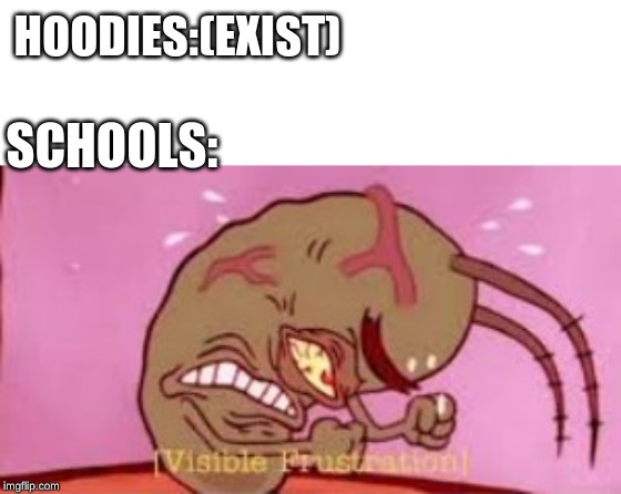 Visible Frustration | HOODIES:(EXIST); SCHOOLS: | image tagged in visible frustration | made w/ Imgflip meme maker