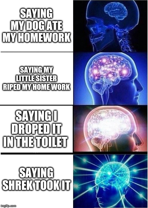 Expanding Brain Meme | SAYING MY DOG ATE MY HOMEWORK; SAYING MY LITTLE SISTER RIPED MY HOME WORK; SAYING I DROPED IT IN THE TOILET; SAYING SHREK TOOK IT | image tagged in memes,expanding brain | made w/ Imgflip meme maker