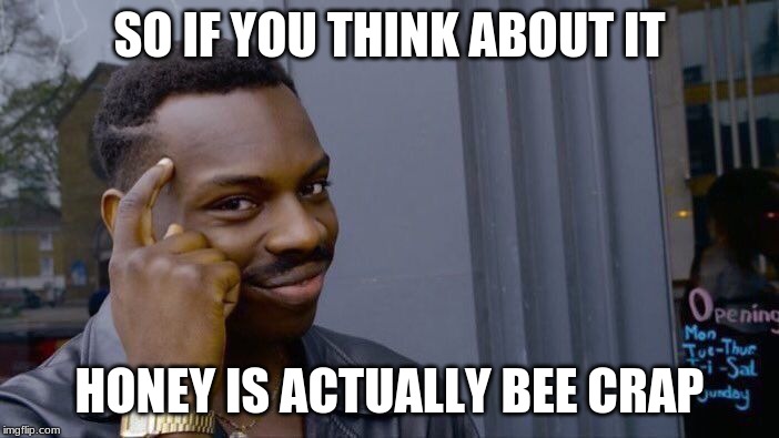 Roll Safe Think About It Meme | SO IF YOU THINK ABOUT IT; HONEY IS ACTUALLY BEE CRAP | image tagged in memes,roll safe think about it | made w/ Imgflip meme maker