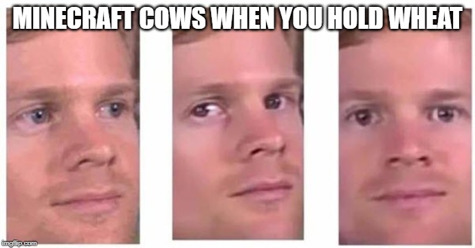 The first guy to | MINECRAFT COWS WHEN YOU HOLD WHEAT | image tagged in the first guy to | made w/ Imgflip meme maker