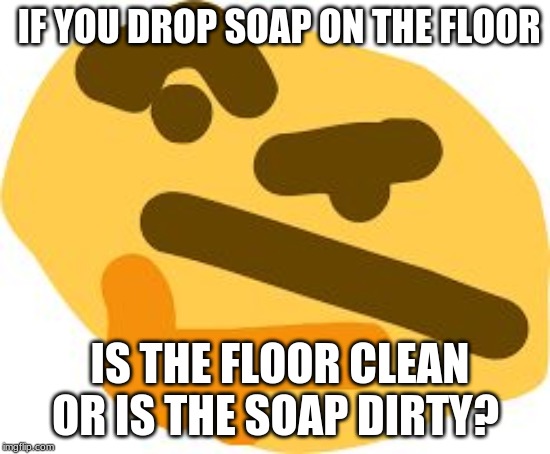 think about it | IF YOU DROP SOAP ON THE FLOOR; IS THE FLOOR CLEAN OR IS THE SOAP DIRTY? | image tagged in thonk | made w/ Imgflip meme maker