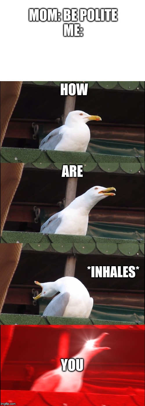 Inhaling Seagull | MOM: BE POLITE
ME:; HOW; ARE; *INHALES*; YOU | image tagged in memes,inhaling seagull | made w/ Imgflip meme maker