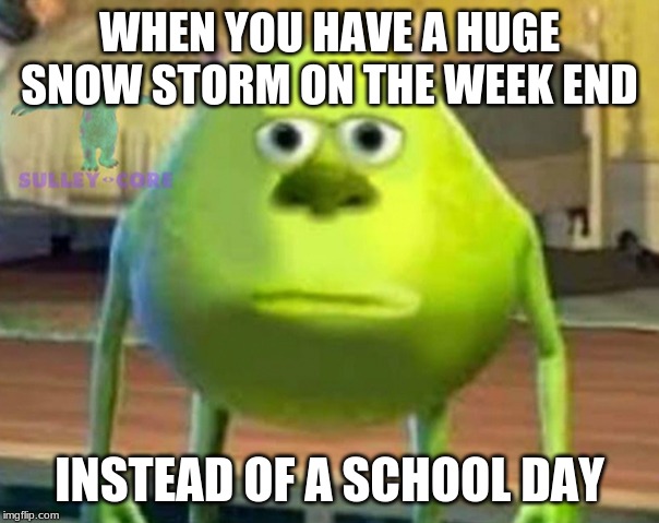 Monsters Inc | WHEN YOU HAVE A HUGE SNOW STORM ON THE WEEK END; INSTEAD OF A SCHOOL DAY | image tagged in monsters inc | made w/ Imgflip meme maker