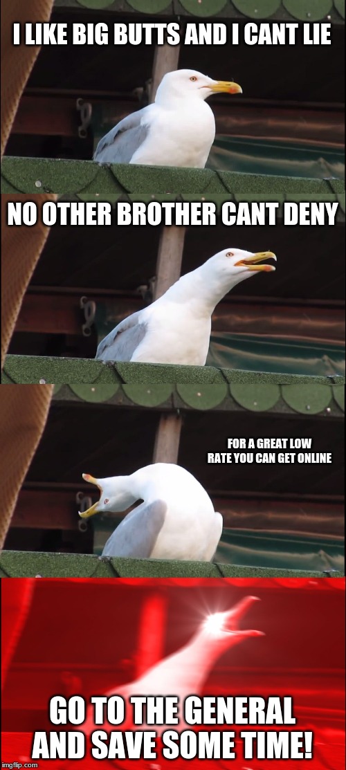 Inhaling Seagull | I LIKE BIG BUTTS AND I CANT LIE; NO OTHER BROTHER CANT DENY; FOR A GREAT LOW RATE YOU CAN GET ONLINE; GO TO THE GENERAL AND SAVE SOME TIME! | image tagged in memes,inhaling seagull | made w/ Imgflip meme maker