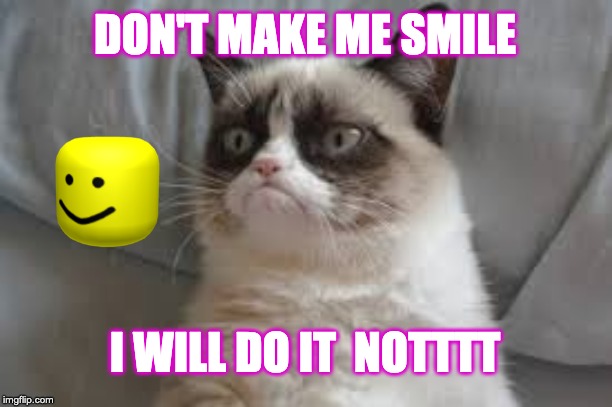 Grumpy cat | DON'T MAKE ME SMILE; I WILL DO IT  NOTTTT | image tagged in grumpy cat | made w/ Imgflip meme maker