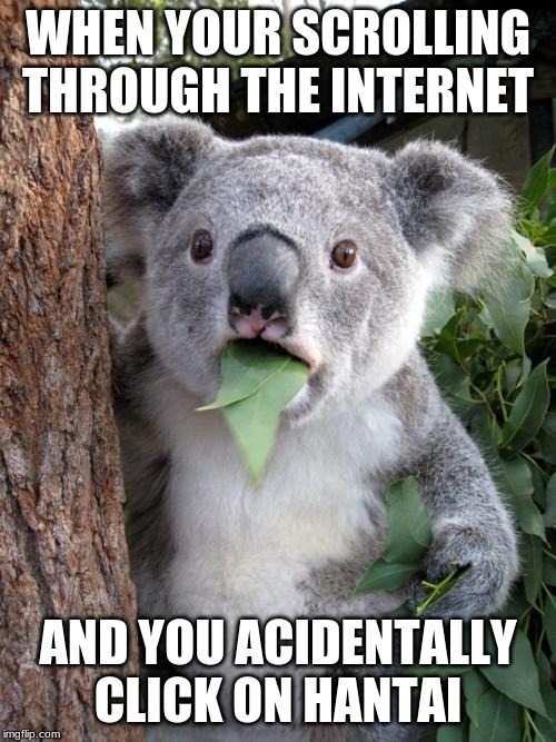 Surprised Koala | WHEN YOUR SCROLLING THROUGH THE INTERNET; AND YOU ACCIDENTALLY CLICK ON HANTAI | image tagged in memes,surprised koala | made w/ Imgflip meme maker