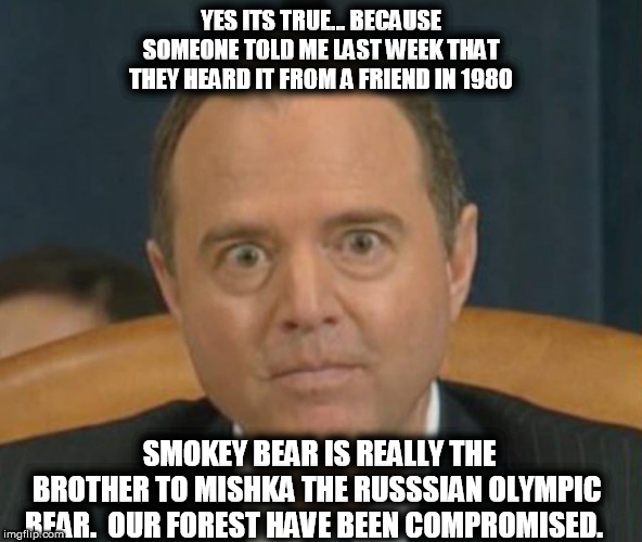 Crazy Adam Schiff | YES ITS TRUE... BECAUSE SOMEONE TOLD ME LAST WEEK THAT THEY HEARD IT FROM A FRIEND IN 1980; SMOKEY BEAR IS REALLY THE BROTHER TO MISHKA THE RUSSSIAN OLYMPIC BEAR.  OUR FOREST HAVE BEEN COMPROMISED. | image tagged in crazy adam schiff | made w/ Imgflip meme maker