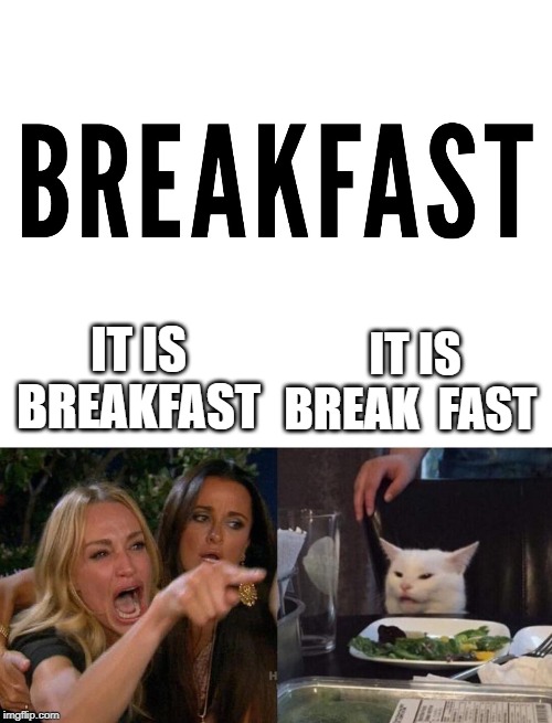 IT IS BREAK  FAST; IT IS BREAKFAST | image tagged in memes,woman yelling at cat | made w/ Imgflip meme maker