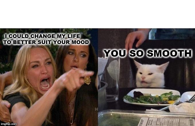 Woman Yelling At Cat Meme | I COULD CHANGE MY LIFE TO BETTER SUIT YOUR MOOD; YOU SO SMOOTH | image tagged in memes,woman yelling at cat | made w/ Imgflip meme maker