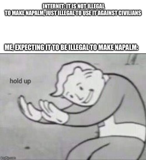 Fallout Hold Up | INTERNET: IT IS NOT ILLEGAL TO MAKE NAPALM, JUST ILLEGAL TO USE IT AGAINST CIVILIANS; ME, EXPECTING IT TO BE ILLEGAL TO MAKE NAPALM: | image tagged in fallout hold up | made w/ Imgflip meme maker