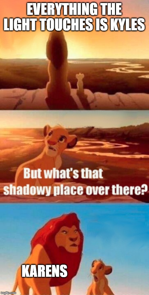 Simba Shadowy Place Meme | EVERYTHING THE LIGHT TOUCHES IS KYLES; KARENS | image tagged in memes,simba shadowy place | made w/ Imgflip meme maker