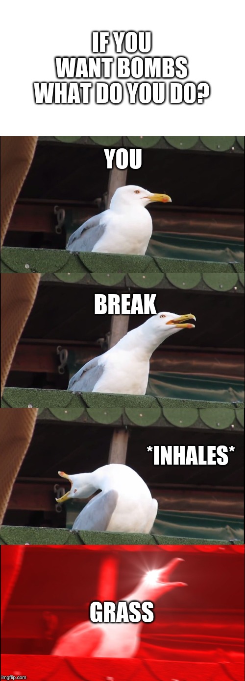 Inhaling Seagull Meme | IF YOU WANT BOMBS WHAT DO YOU DO? YOU *INHALES* GRASS BREAK | image tagged in memes,inhaling seagull | made w/ Imgflip meme maker