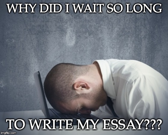 Writer frustration | WHY DID I WAIT SO LONG; TO WRITE MY ESSAY??? | image tagged in writer frustration | made w/ Imgflip meme maker