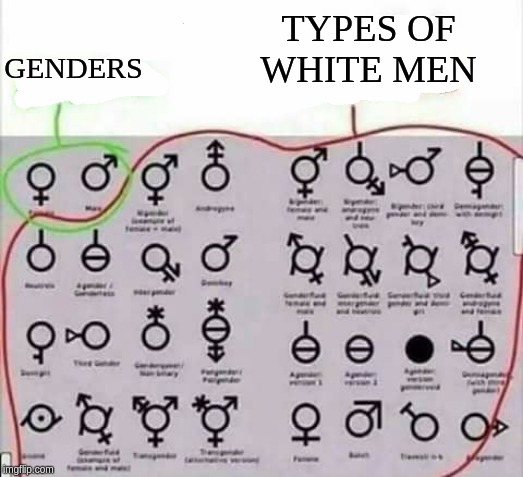TYPES OF WHITE MEN; GENDERS | image tagged in white people,white man | made w/ Imgflip meme maker