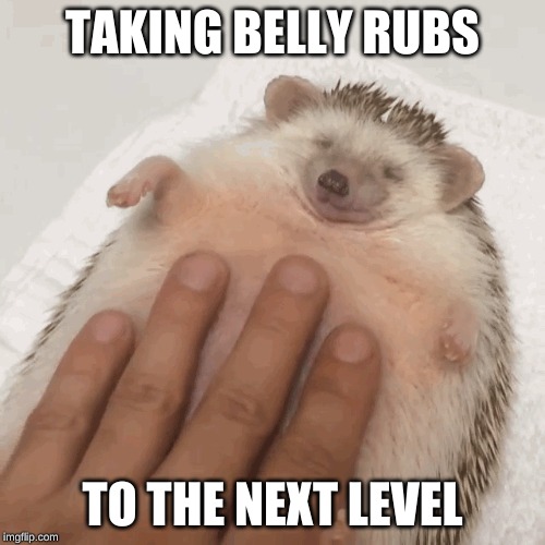 TAKING BELLY RUBS; TO THE NEXT LEVEL | made w/ Imgflip meme maker