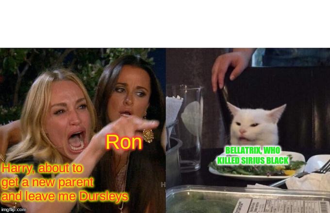 Woman Yelling At Cat | Ron; BELLATRIX, WHO KILLED SIRIUS BLACK; Harry, about to get a new parent and leave me Dursleys | image tagged in memes,woman yelling at cat | made w/ Imgflip meme maker