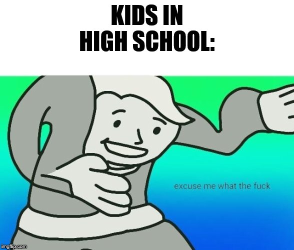 Excuse me, what the fuck | KIDS IN HIGH SCHOOL: | image tagged in excuse me what the fuck | made w/ Imgflip meme maker