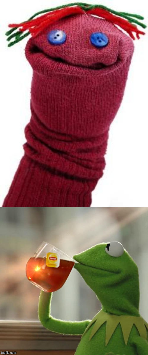 image tagged in memes,but thats none of my business,sock puppet | made w/ Imgflip meme maker