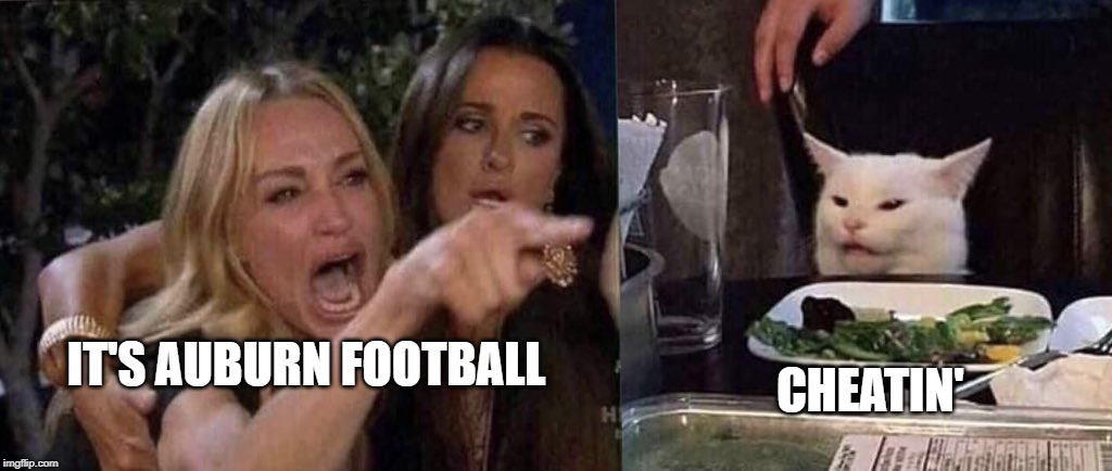 woman yelling at cat | IT'S AUBURN FOOTBALL; CHEATIN' | image tagged in woman yelling at cat | made w/ Imgflip meme maker