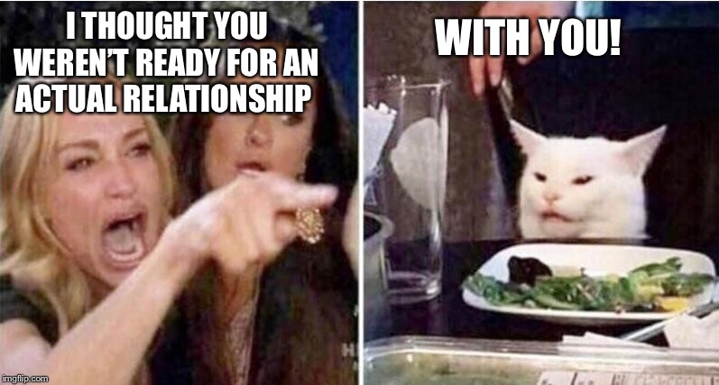 Crying girls and Cat | I THOUGHT YOU WEREN’T READY FOR AN ACTUAL RELATIONSHIP; WITH YOU! | image tagged in crying girls and cat | made w/ Imgflip meme maker