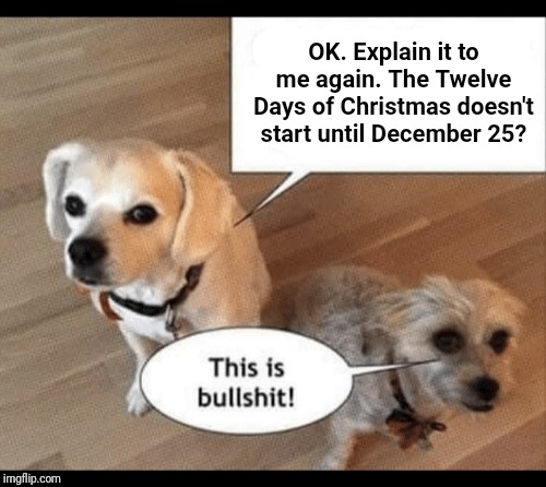 I did not know | OK. Explain it to me again. The Twelve Days of Christmas doesn't start until December 25? | image tagged in ok explain it to me again,christmas,12 days of christmas,meanwhile on imgflip,knowledge is power,bullshit | made w/ Imgflip meme maker