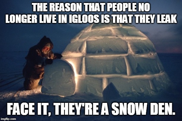 igloo | THE REASON THAT PEOPLE NO LONGER LIVE IN IGLOOS IS THAT THEY LEAK; FACE IT, THEY'RE A SNOW DEN. | image tagged in igloo | made w/ Imgflip meme maker