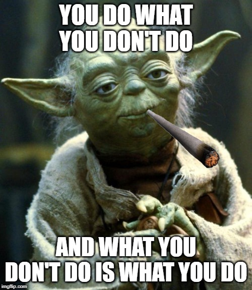 Star Wars Yoda | YOU DO WHAT YOU DON'T DO; AND WHAT YOU DON'T DO IS WHAT YOU DO | image tagged in memes,star wars yoda | made w/ Imgflip meme maker