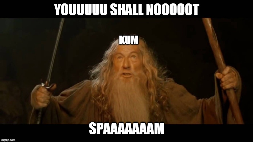 Gandalf - you shall not pass | YOUUUUU SHALL NOOOOOT; KUM; SPAAAAAAAM | image tagged in gandalf - you shall not pass | made w/ Imgflip meme maker