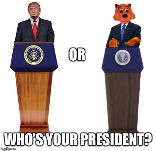 Trump or Cool Cat? |  OR; WHO’S YOUR PRESIDENT? | image tagged in donald trump,cool cat | made w/ Imgflip meme maker