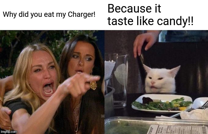 Woman Yelling At Cat | Why did you eat my Charger! Because it taste like candy!! | image tagged in memes,woman yelling at cat | made w/ Imgflip meme maker