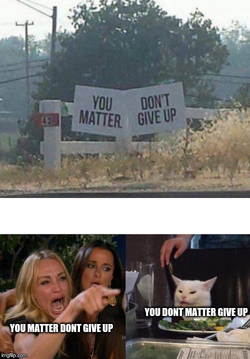 YOU DONT MATTER GIVE UP; YOU MATTER DONT GIVE UP | image tagged in memes,woman yelling at cat | made w/ Imgflip meme maker