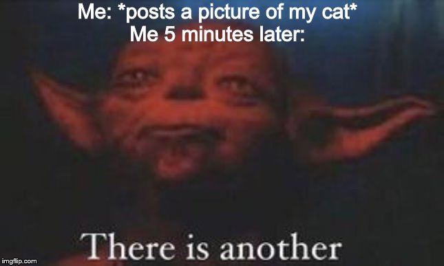 yoda there is another | Me: *posts a picture of my cat*
Me 5 minutes later: | image tagged in yoda there is another | made w/ Imgflip meme maker