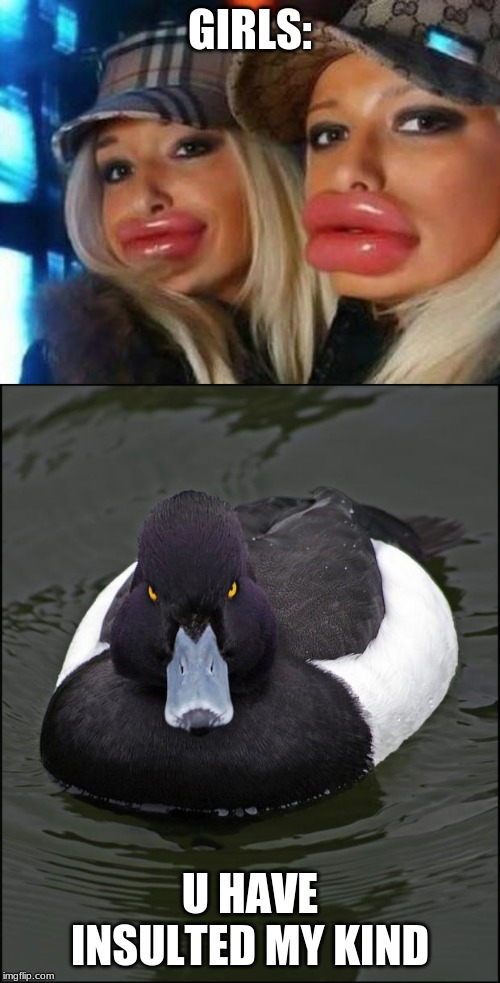 GIRLS:; U HAVE INSULTED MY KIND | image tagged in memes,duck face chicks,angry duck | made w/ Imgflip meme maker