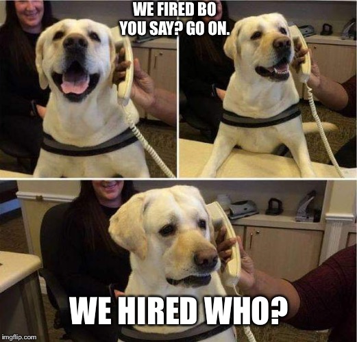 Dog phone | WE FIRED BO YOU SAY? GO ON. WE HIRED WHO? | image tagged in dog phone | made w/ Imgflip meme maker
